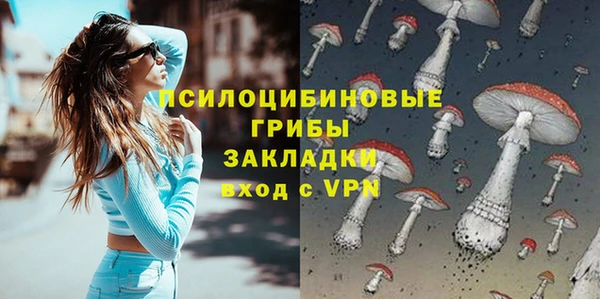 прущий лед Алексин