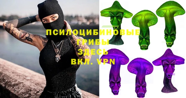 прущий лед Алексин