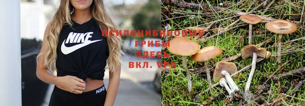 не бодяженный Алзамай